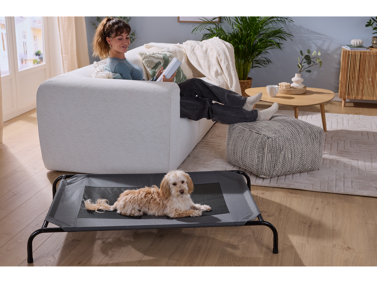 Mulher a ler no sofá, cão na cama Zoofari, na sala de estar