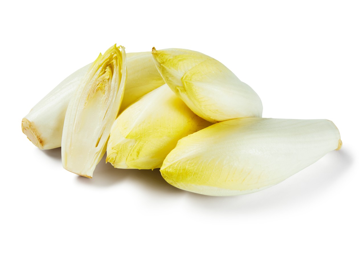 Drie verse witloof op een witte achtergrond.