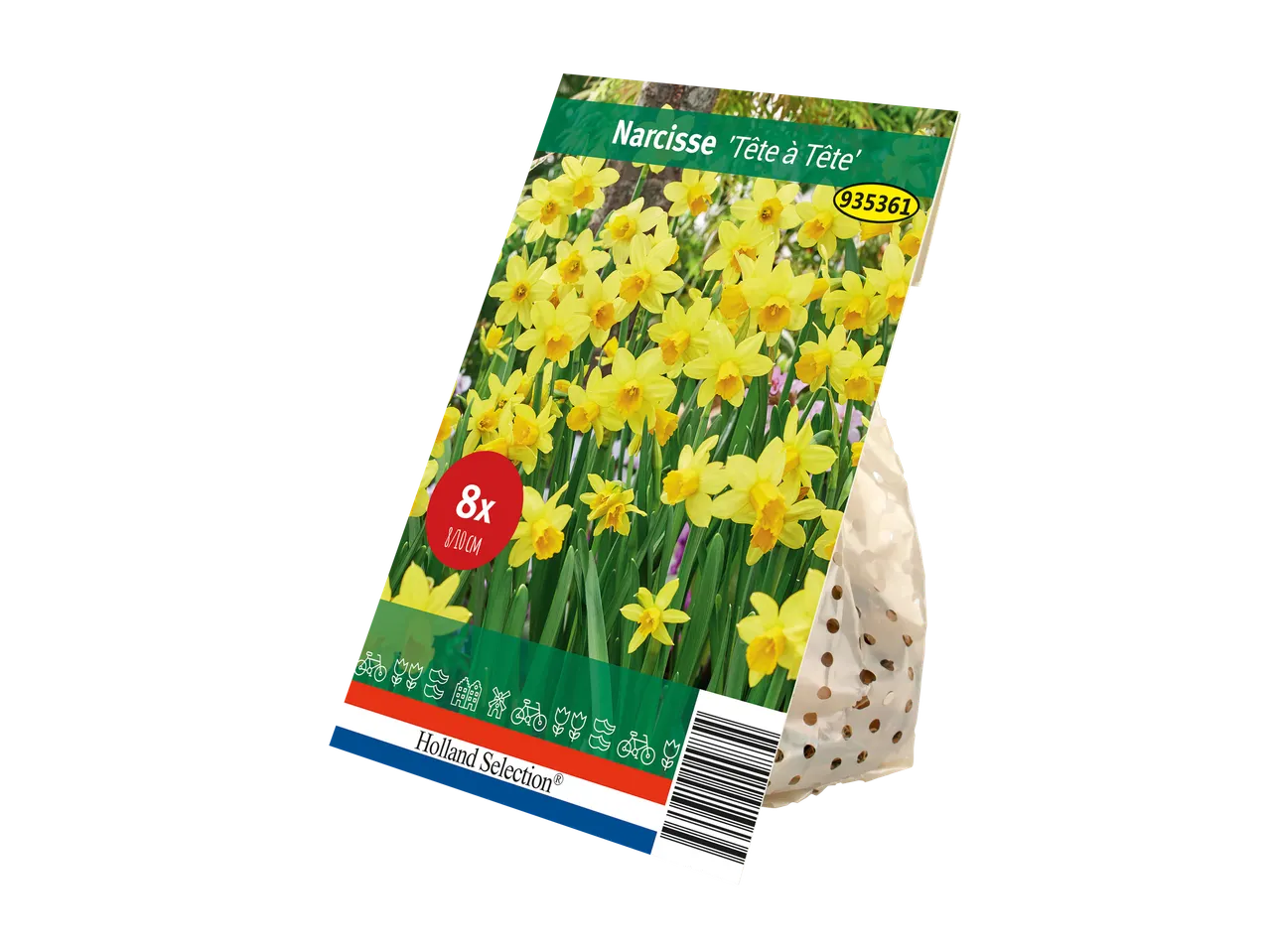 Holland Selection Narcisse 'Tête à Tête' bulbs in packaging.