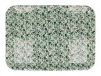 A square, green and white patterned tray.
