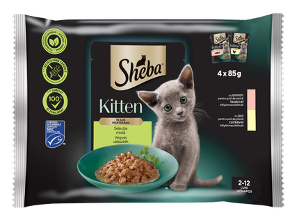 Junior alutasakos macskaeledel