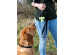 KARLIE Poop Bag Holder and leash held by a person, with a dog looking up.