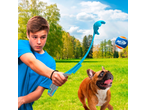 Boy launching a Nerf Dog tennis ball for a French Bulldog in a park.