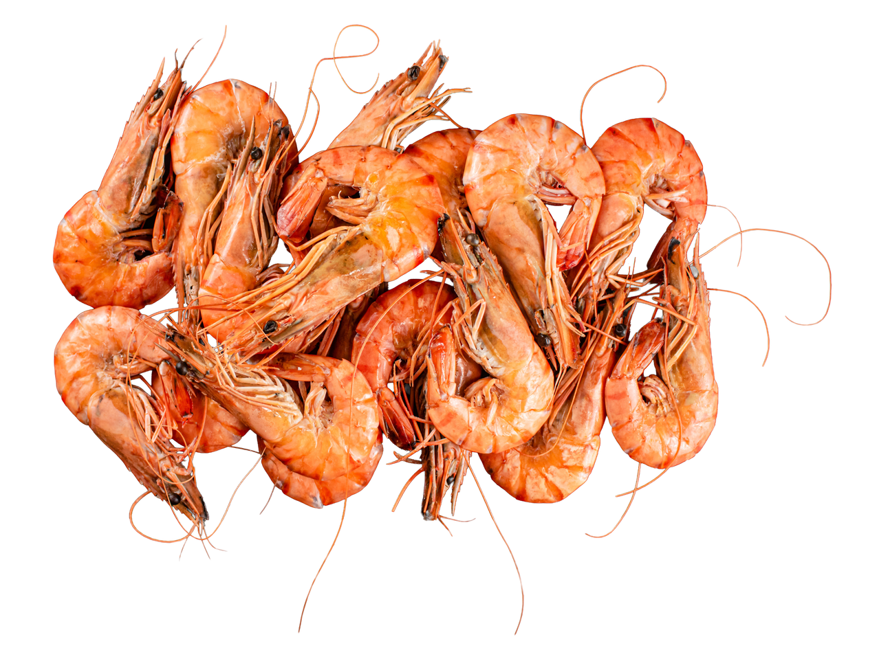 Lähivõte keedetud krevettidest mustal taustal.