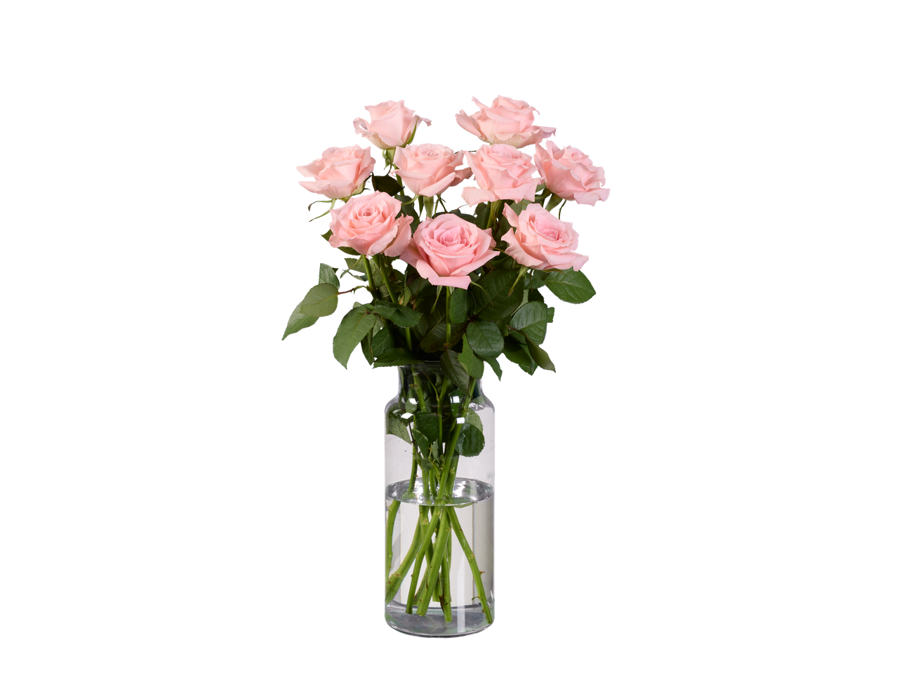 Um buquê de rosas rosa claro em um vaso de vidro transparente.