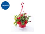 Outdoor hanging basket with red, yellow, and white flowers