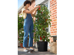 Woman in overalls harvesting tomatoes from a Parkside® Tomato Planter on a sunny patio.