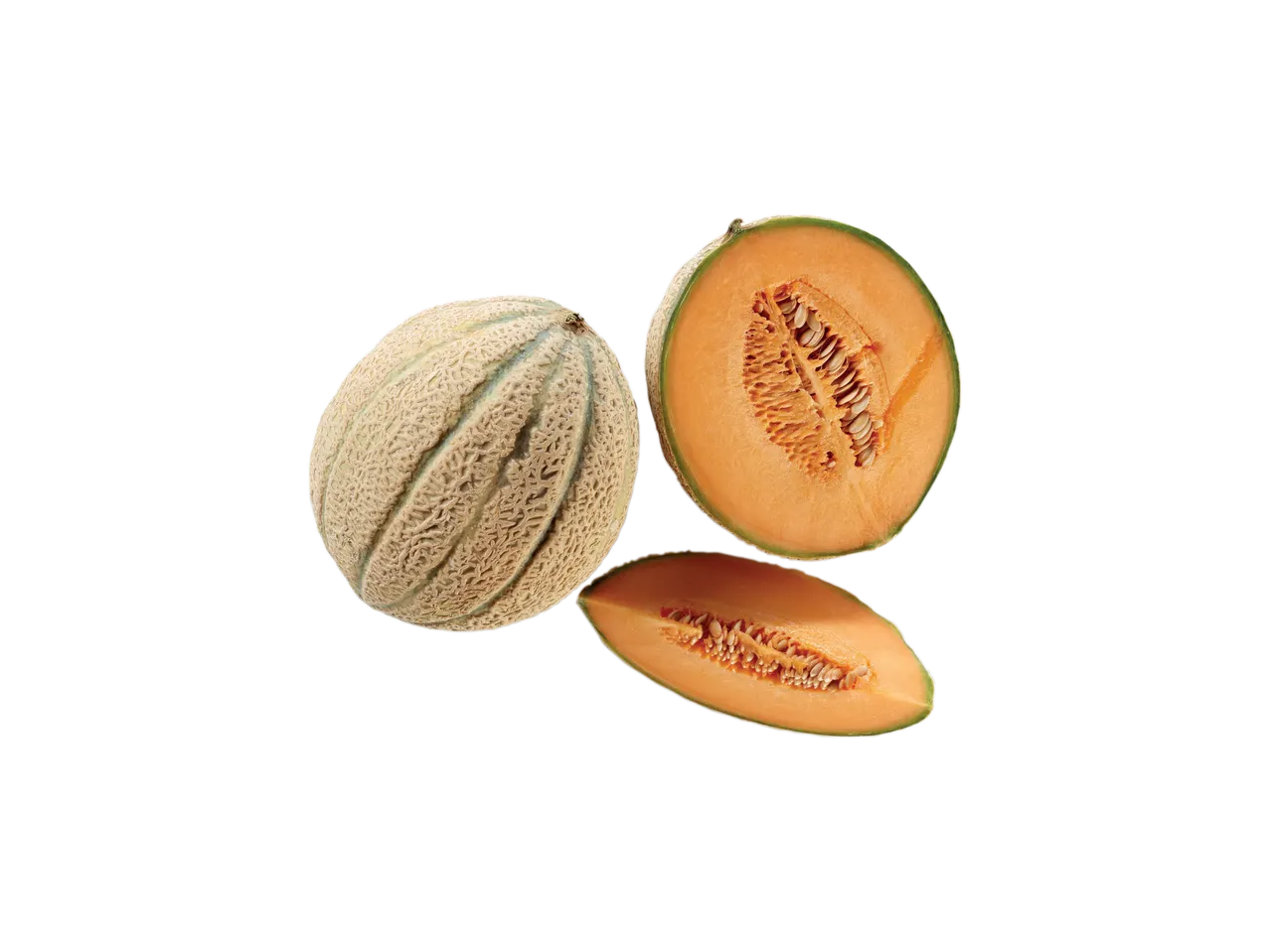Melone retato