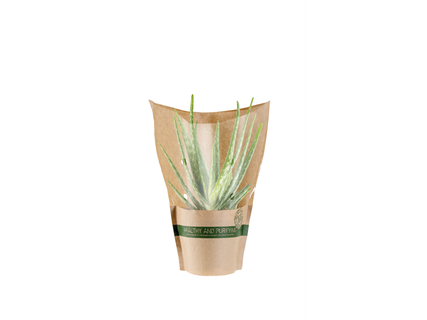 Groene plantenmix