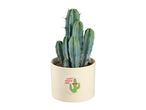 Potted cactus with a humorous 'Can't Touch This' sticker on the pot