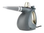A grey handheld steam cleaner with a gold-colored handle and cap.