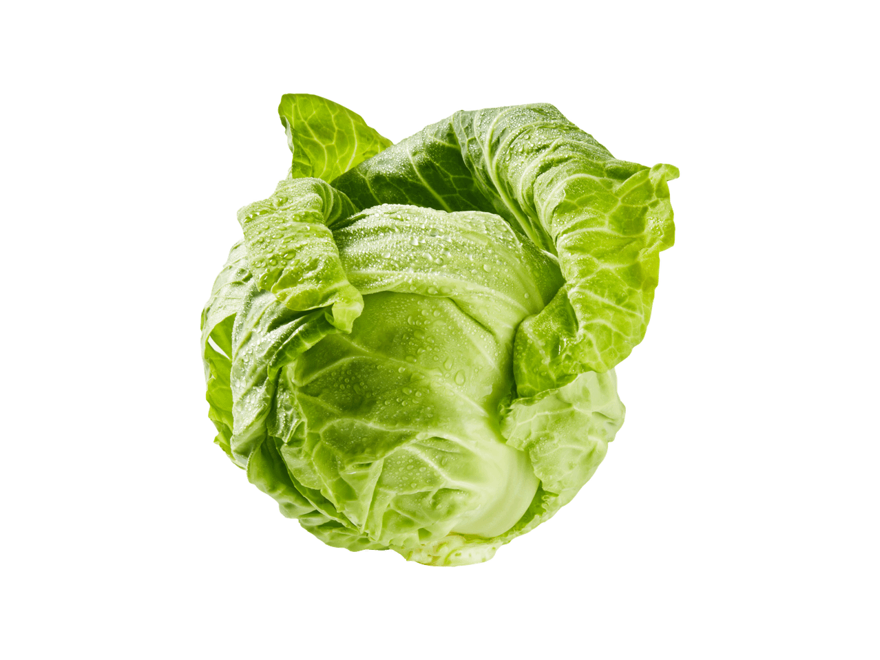 Svež zeleni kupus sa kapljicama vode na crnoj pozadini
